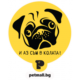 Стикер за кола 